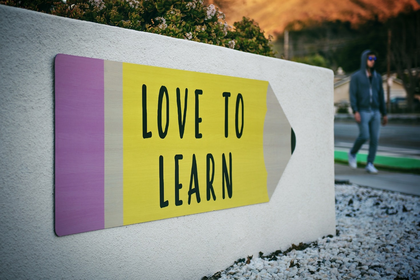 Future Trends: AI in Health Professions Education